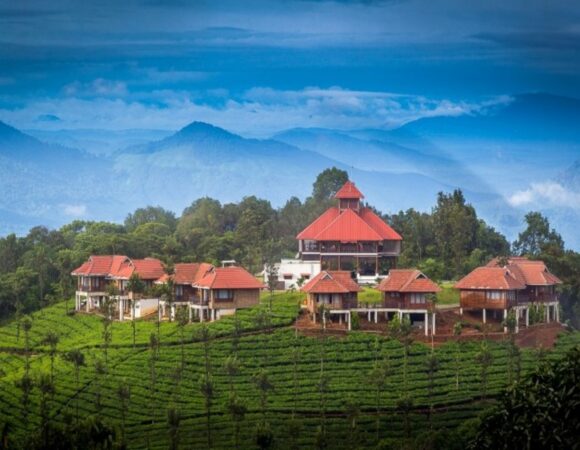 Hill top cottages in Wild Planet Jungle Resort