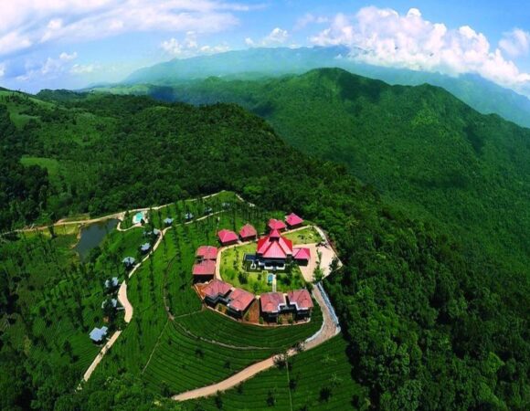 Wild Planet Jungle Resort