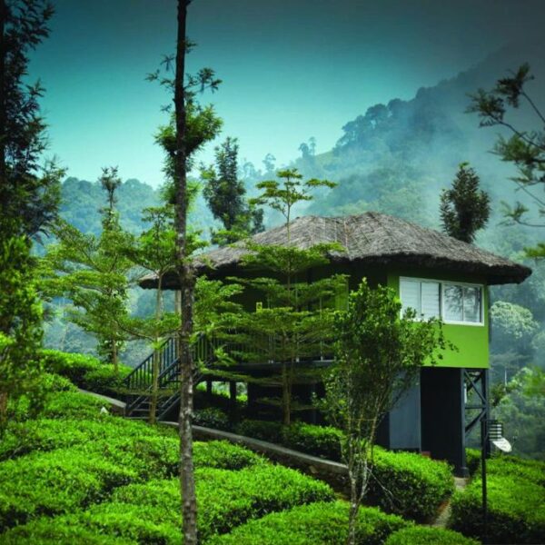 Valley View Cabin in Wild Planet Resort